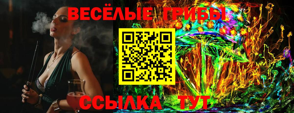 Псилоцибиновые грибы мухоморы Киселёвск
