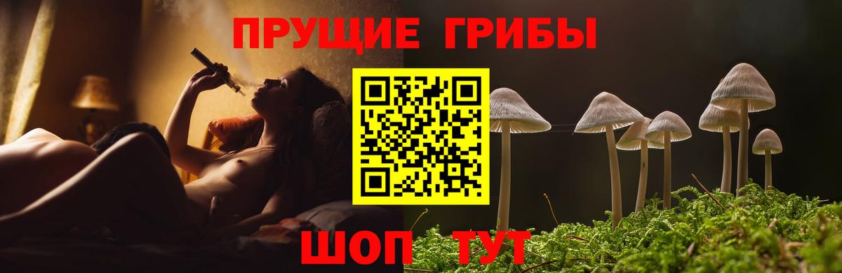 Галлюциногенные грибы GOLDEN TEACHER  Вход с VPN  Псилоцибиновые грибы ЛСД  Киселёвск 